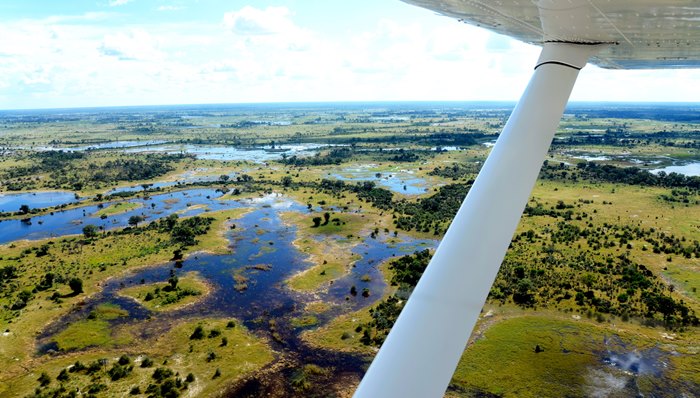 Flying safari 3