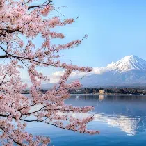 Honeymooning in Japan
