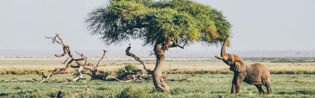 Tanzania serengeti 1920x600 1