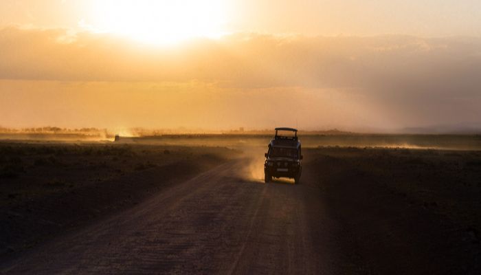 Night drive safari