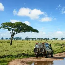 Kenya or Tanzania – Which Destination is Best For Me?