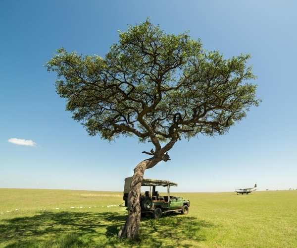 Great Plains Mara Camp