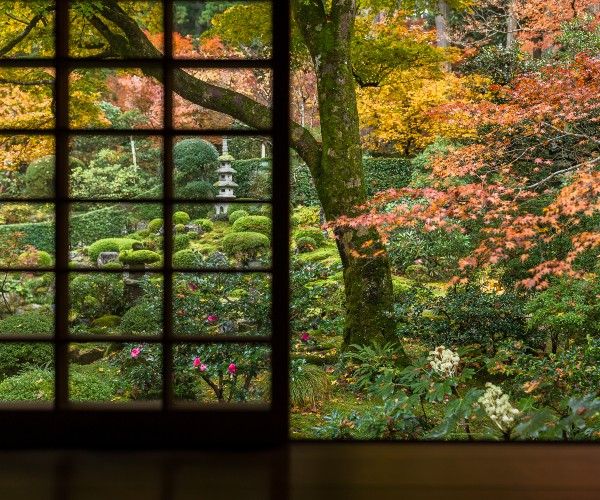 Tea ceremony venue, Kyoto