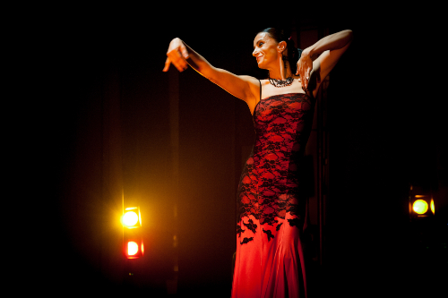 Flamenco Spain