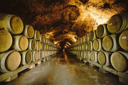 Rioja wine cellar