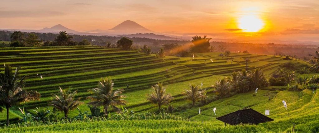 Jatiluwih rice terraces Bali 1 1