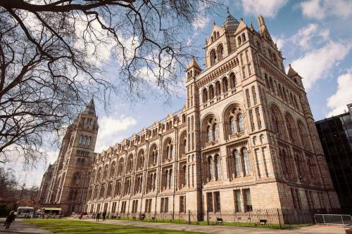 Natural History Museum 500x333 1