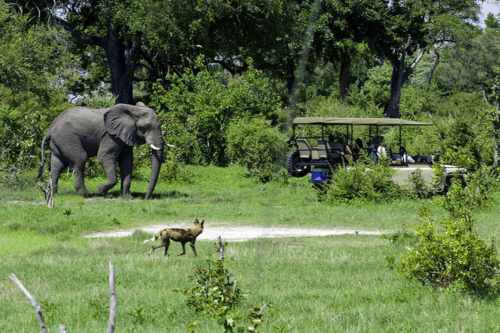 Little vumbura camp okavango delta