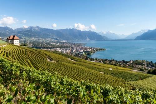 Montreux 1 500 x 333