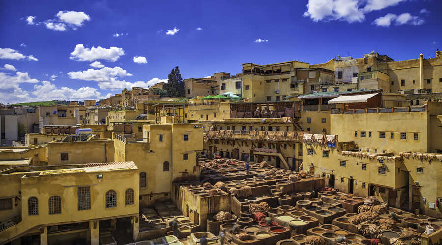Fez Tannery 1 1