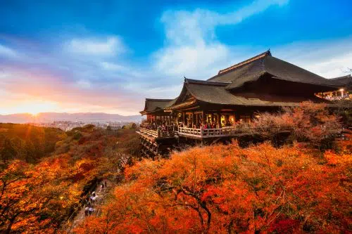 Kyoto: Castles, Kitchen, & Temples