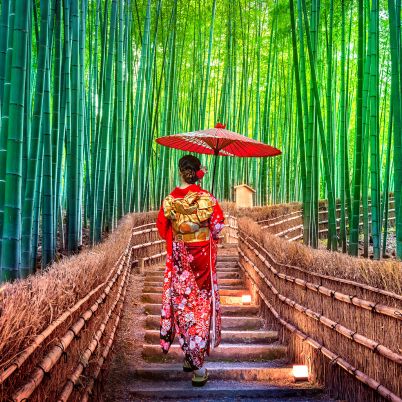 Geisha, Bamboo Forest, Japan