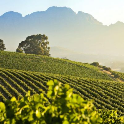 Cape Winelands