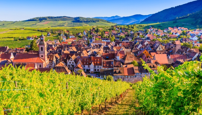 Alsace landscape