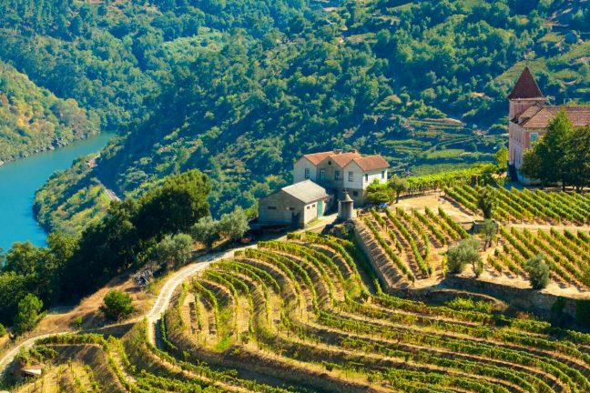 Douro Valley Blog Banner Image