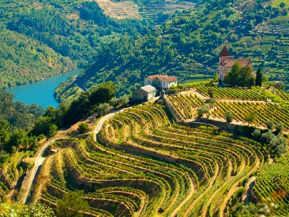 Douro Valley Blog Box Listing