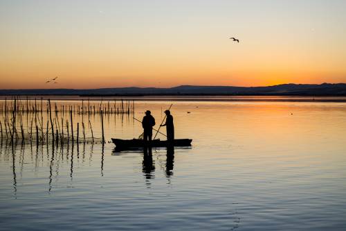 Albufera Spain