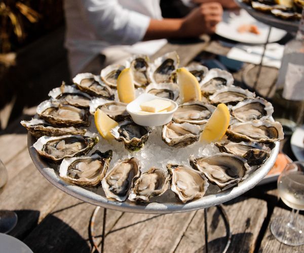 Arcachon Cap Ferret Oysters