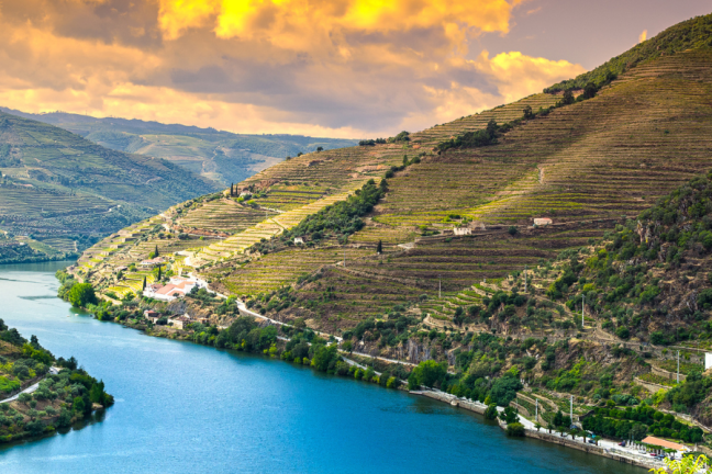 Douro river cruise