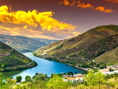 douro river cruise Listing Image for Box layout