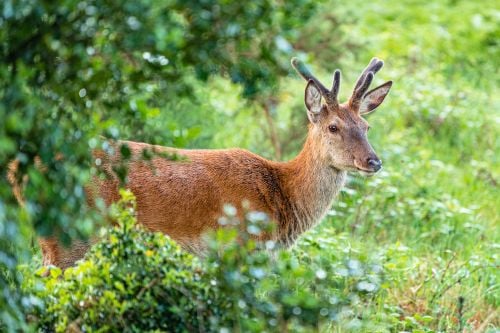 Transfer to Donegal & Glenveagh National Park