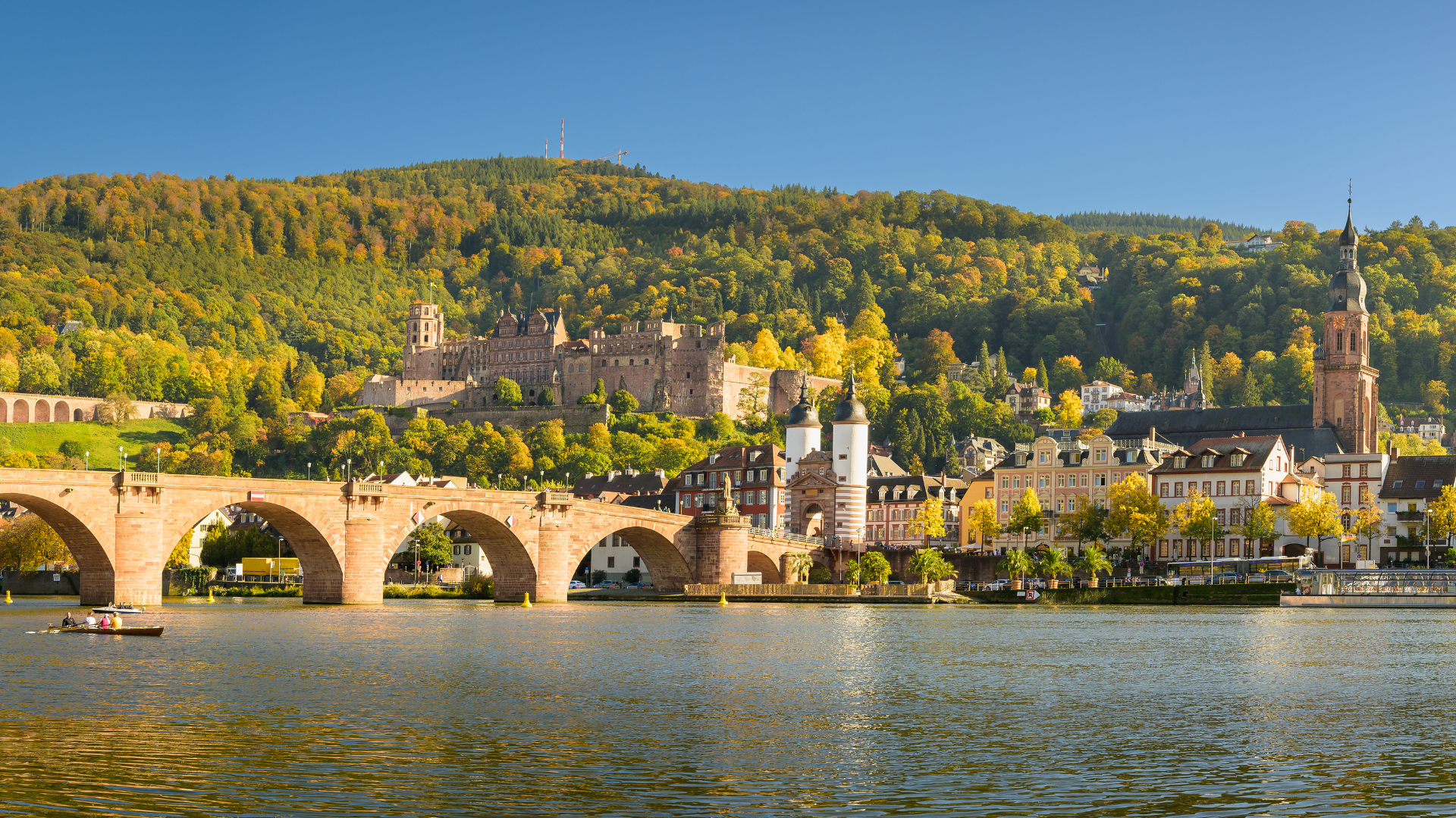 best rhine river cruises