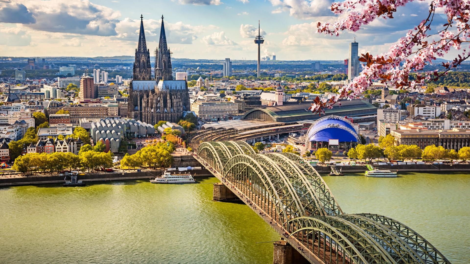 best rhine river cruises