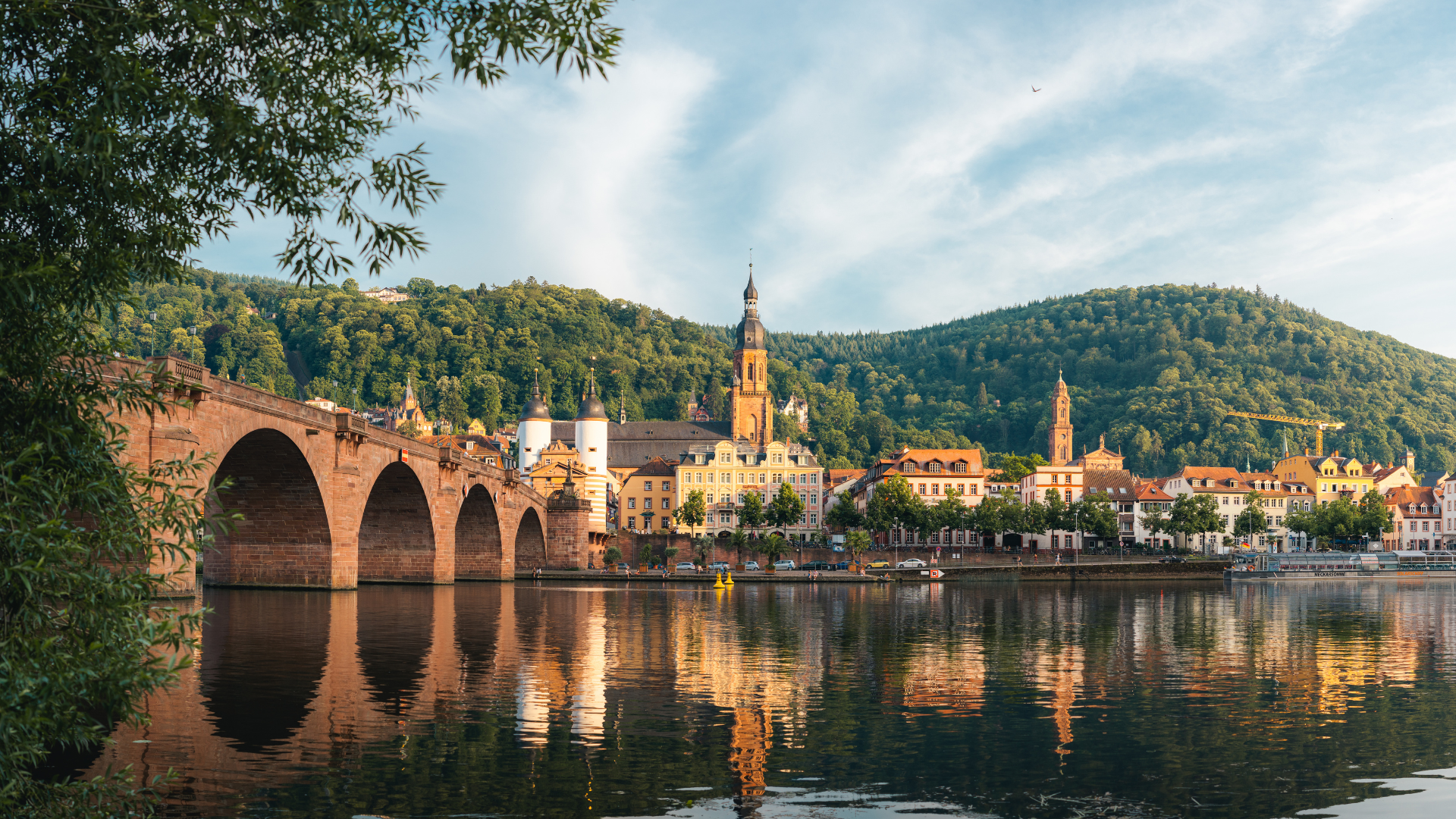 best rhine river cruises