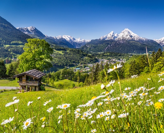 Bavarian Alps Blog Section Image