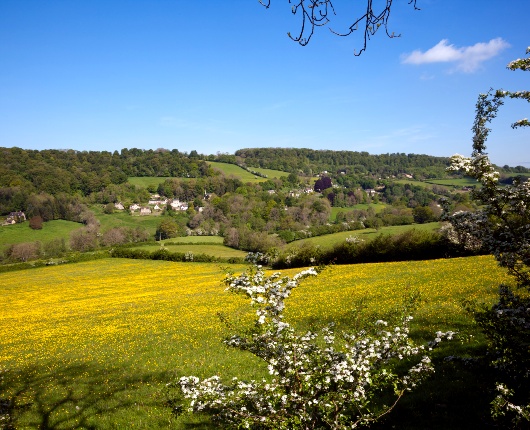 Slad Valley Blog Section Image