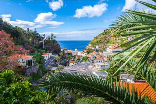 Funchal - Half-Day Tour of Funchal and Monte