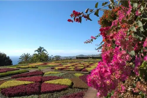 Funchal, Madeira - Day of Leisure with Optional Sunrise Breakfast Tour image 2