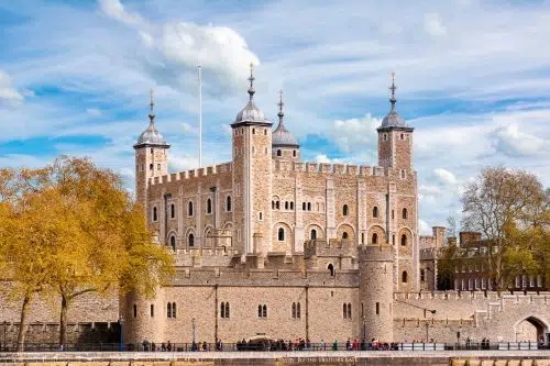 London: Private Best of London Tour including Tower of London Entrance image 2
