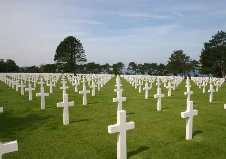 780 x 550 War Graves