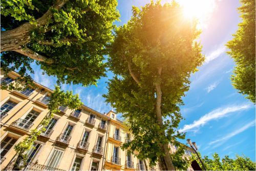 Journey to Provence image 2