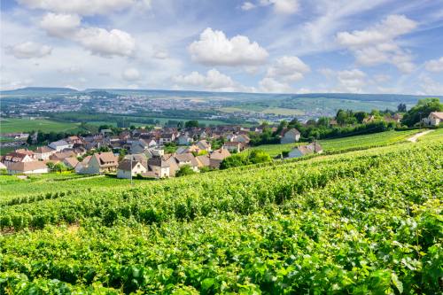Arrival in Champagne