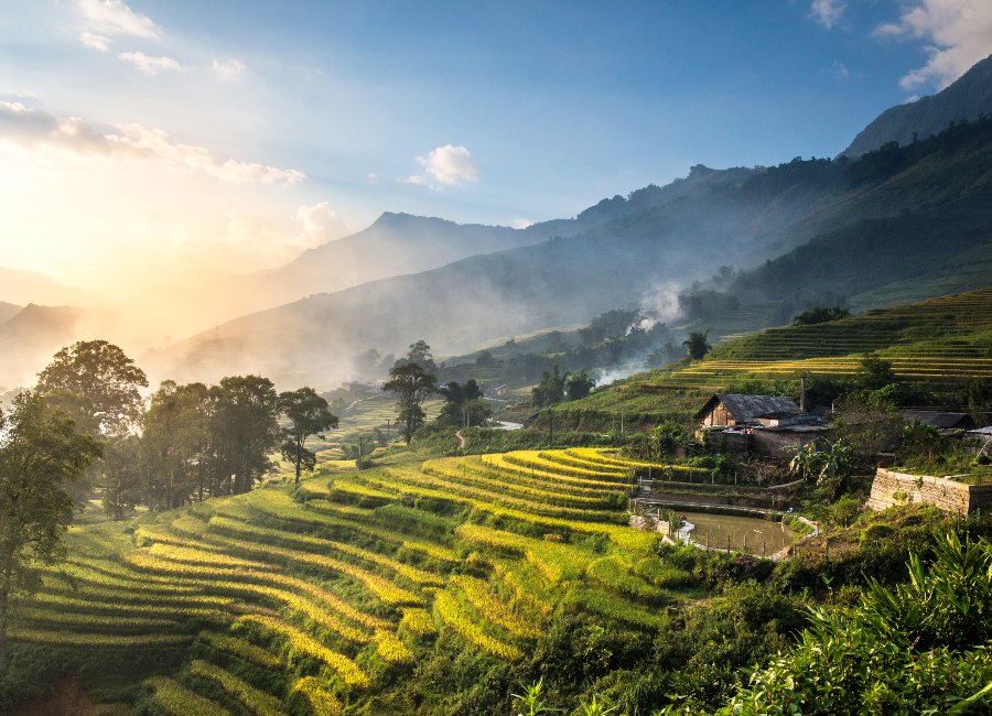 Sapa