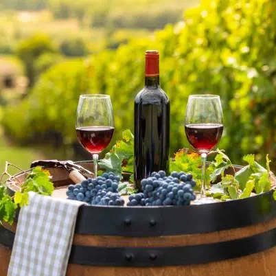 Gourmet Seine, Paris and Bordeaux Cruise & Land Tour