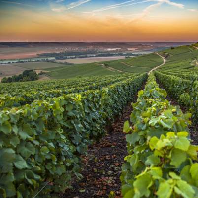 Sensational Seine and Champagne Cruise & Land Tour