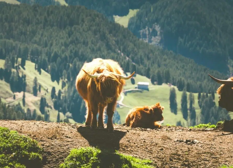 The Dolomites, Italy