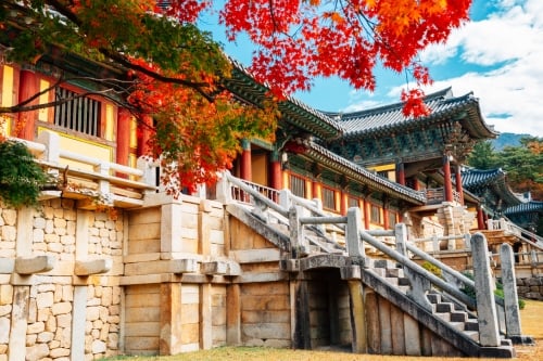Busan: Temples, Markets, and the Coastal South