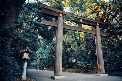 Tokyo: Tokyo's Sights & Hidden Gems image 2