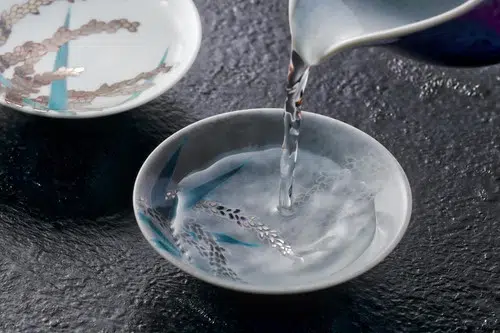 Saga: Ceramics and Sake in Saga