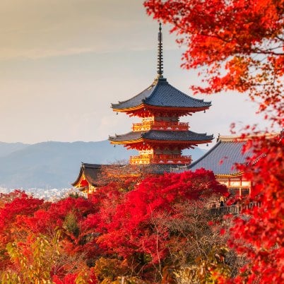 Discover Japan in Fall