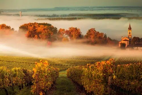 Provence to Bordeaux