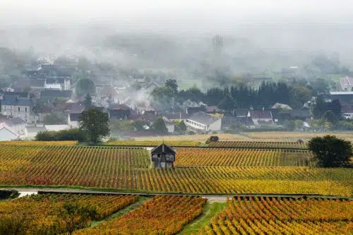 Gateway to Burgundy image 2