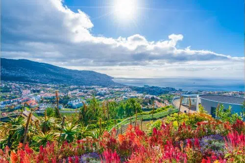 Leisure in Madeira image 2