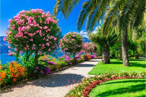 Stresa: Full-day private boat on Lake Maggiore image 2