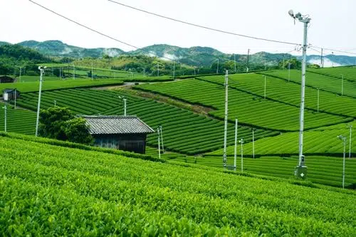 Fukuoka: At Leisure & Optional Day Trips